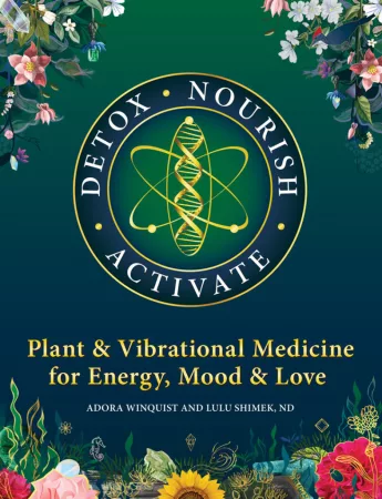 Detox Nourish Activate: Plant & Vibrational Medicine for Energy, Mood and Love
