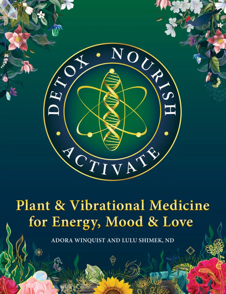 Detox Nourish Activate: Plant & Vibrational Medicine for Energy, Mood and Love