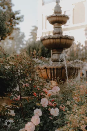 7 DIY Garden Projects for a Budget Friendly Backyard Makeover