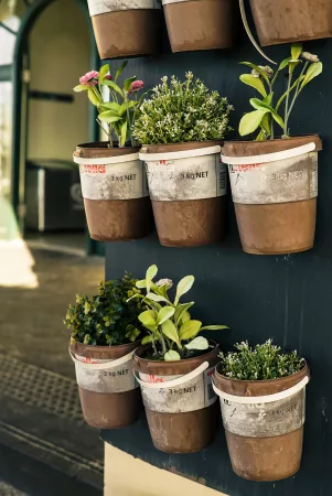 7 DIY Garden Projects for a Budget Friendly Backyard Makeover