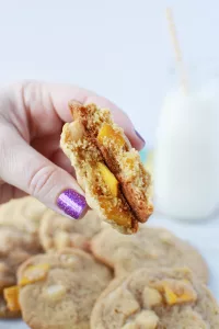 Mango Cookie with macadamia nuts
