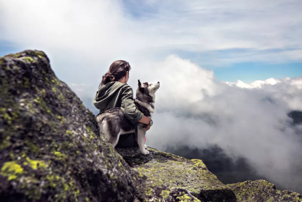 Person and their husky hiking in the mountains