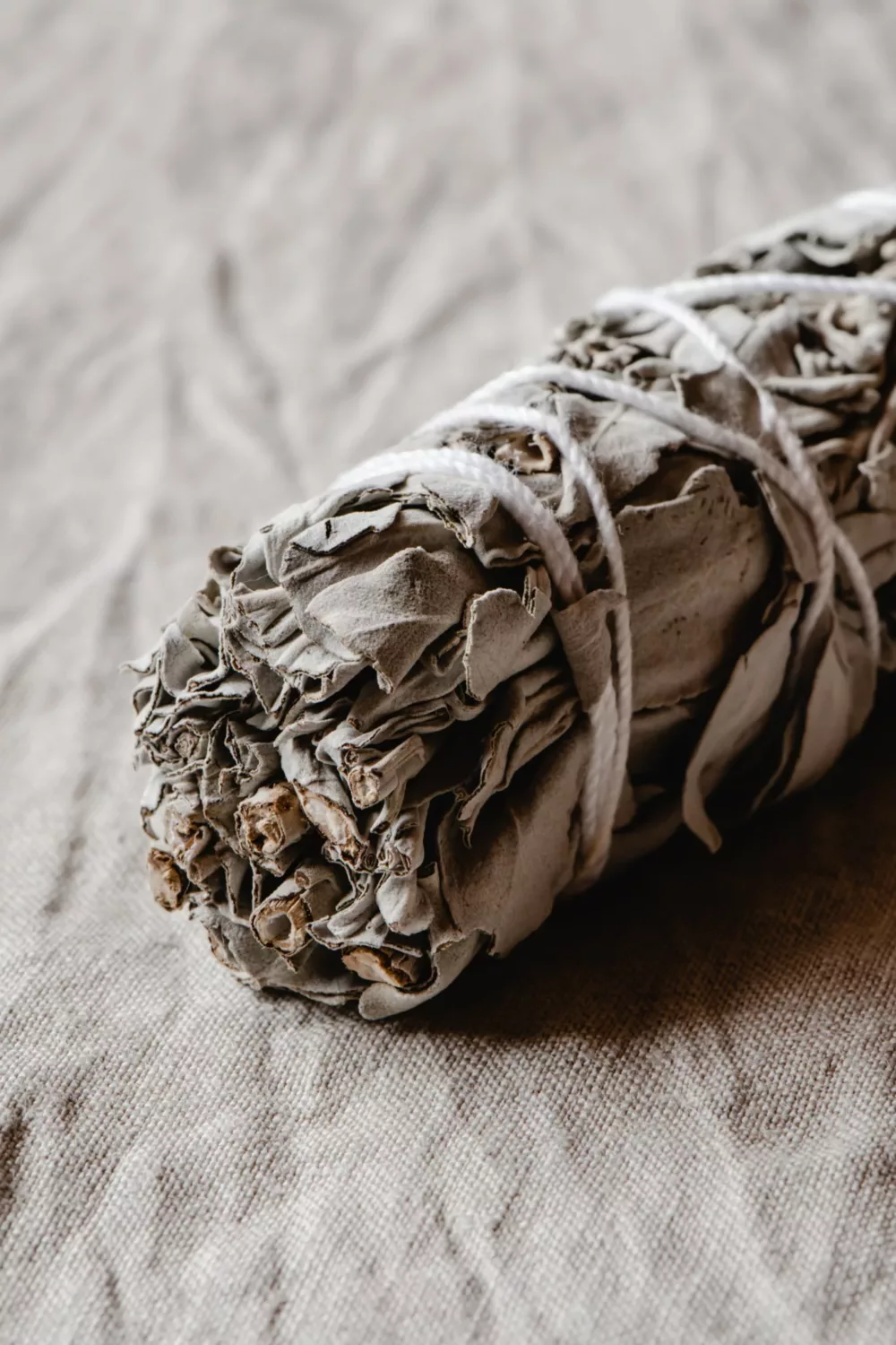 bundle of dried sage