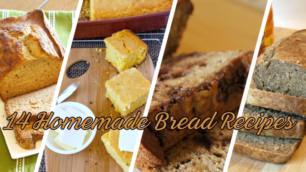 14 Homemade Bread Recipes