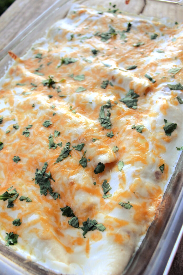 Easy Chicken Enchiladas