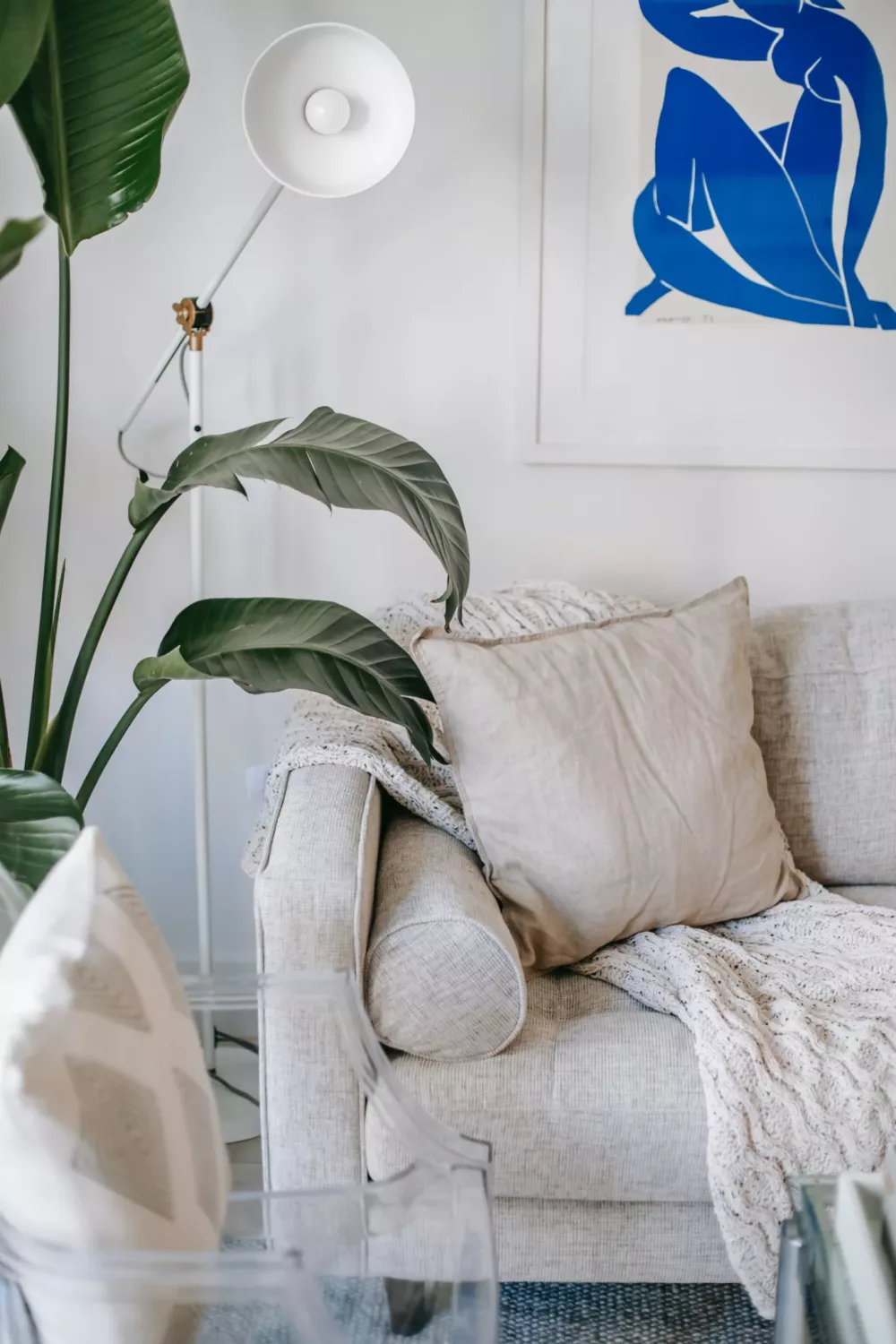 white sofa and houseplant