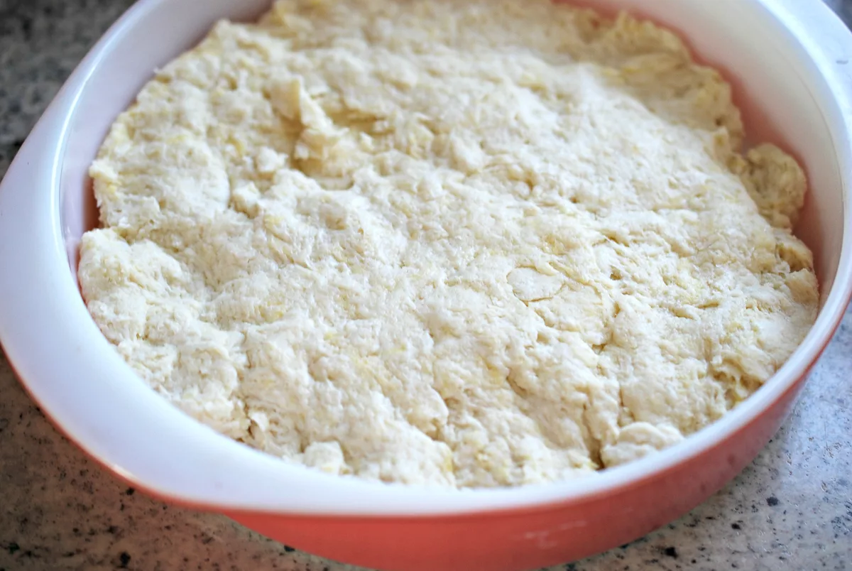Closeup shot of vanilla cake dough in a baking dish.