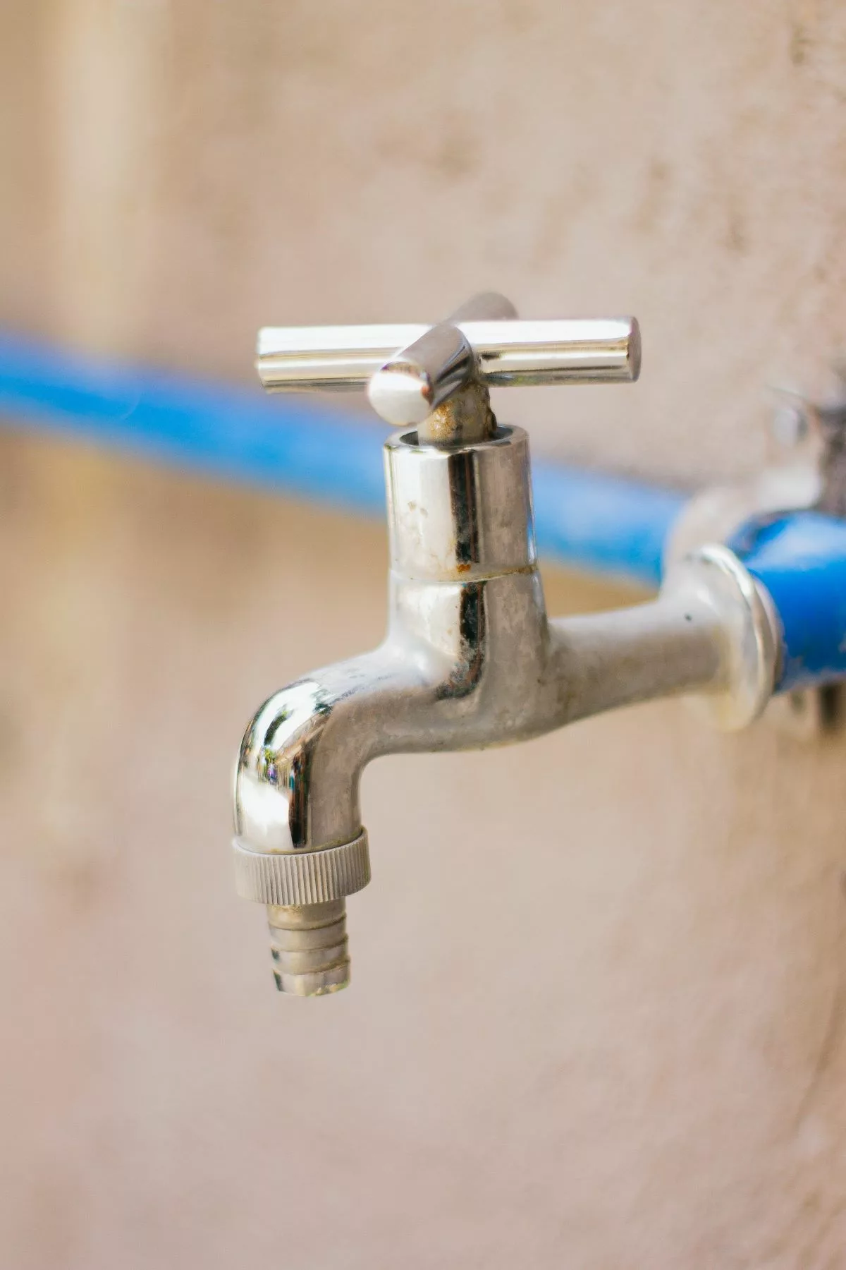 Essential Plumbing Maintenance Tips to Prevent Costly Repairs