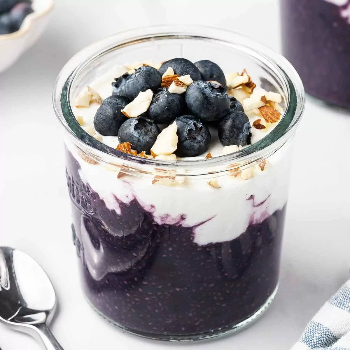 Blueberry Chia Pudding Recipe