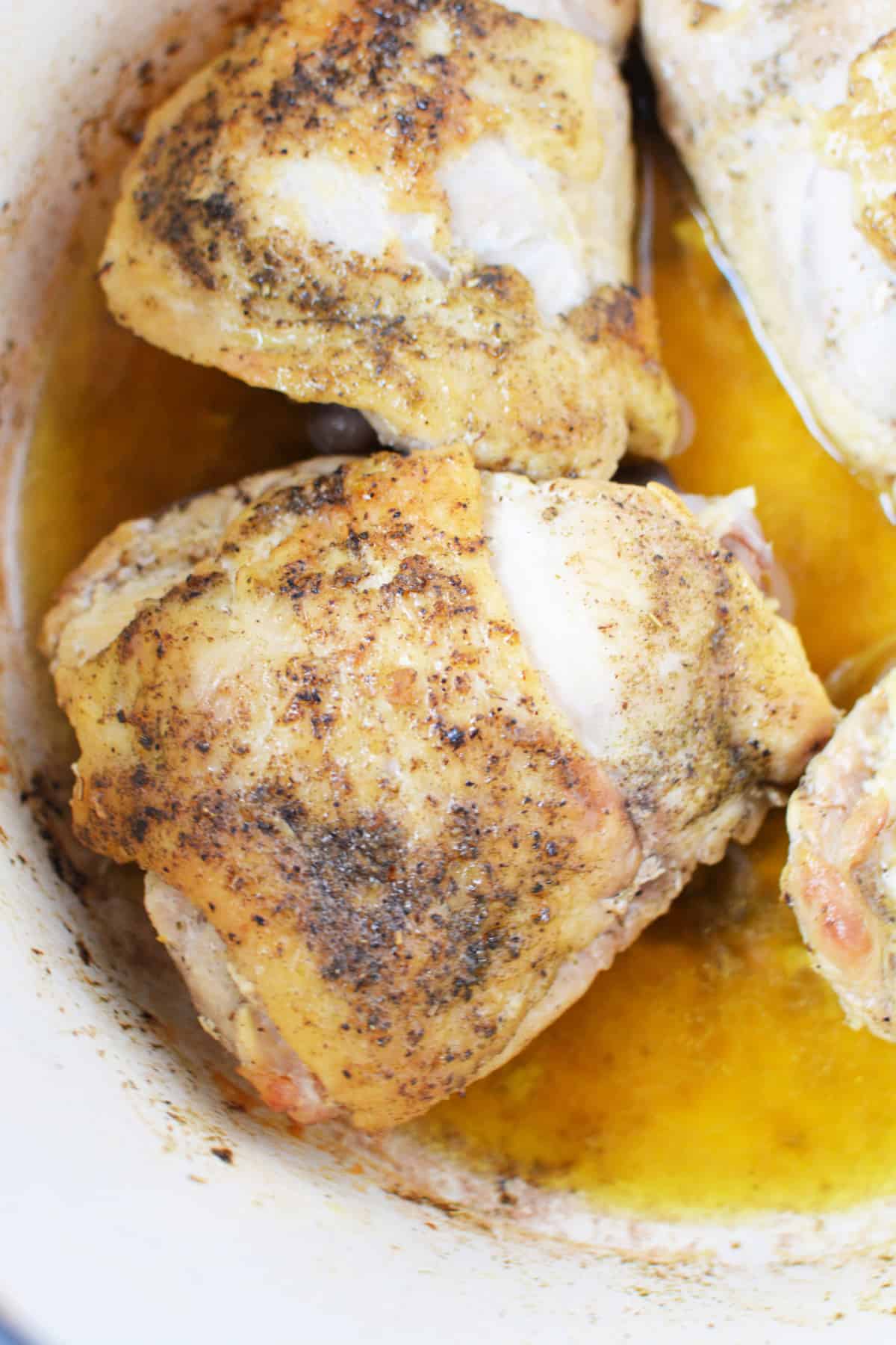 Closeup shot of crispy, seasoned chicken thighs in Dutch oven. 