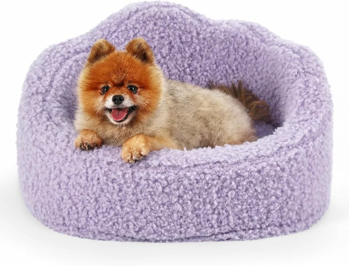 Fluffy Cloud Pet Bed in Soft Sherpa Plush
