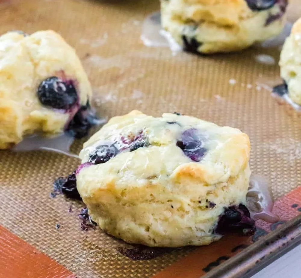 Homemade Blueberry Biscuits