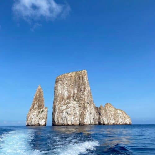 Galapagos Cruise Deals