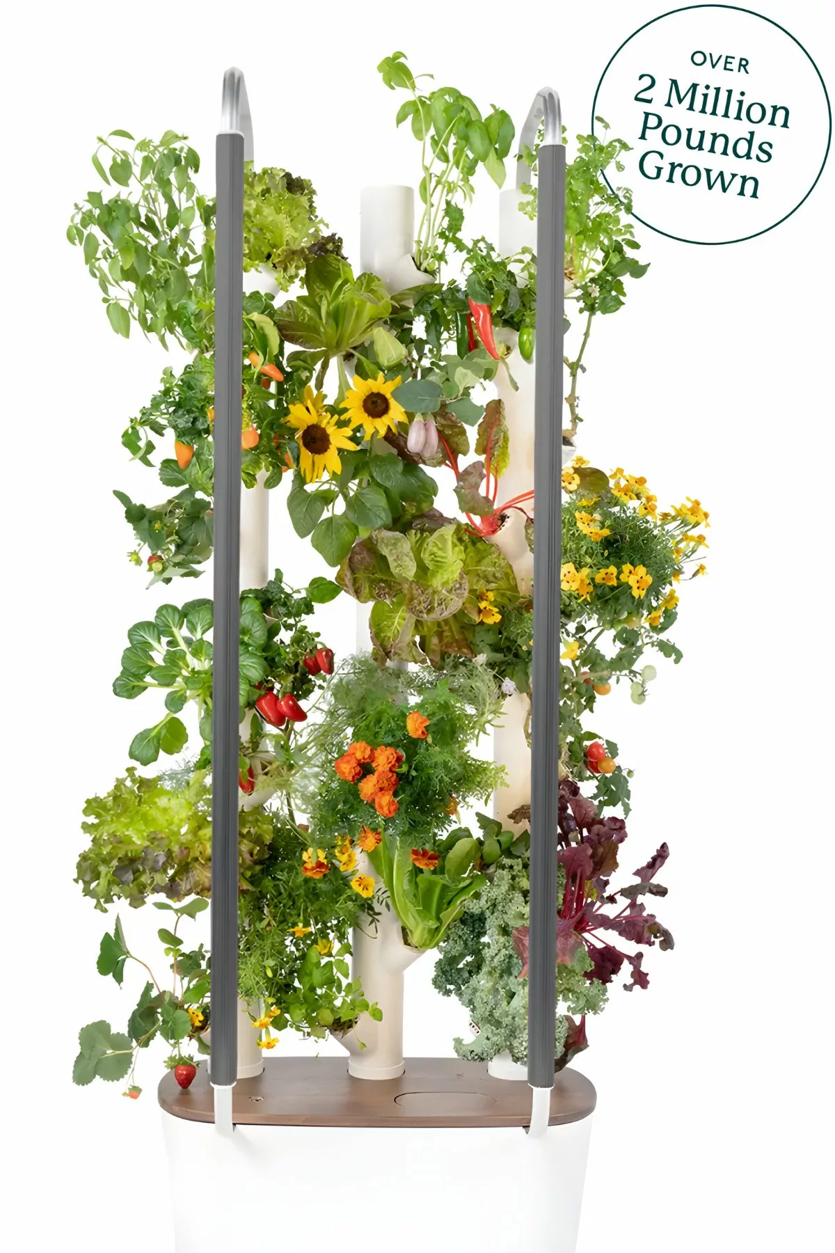 Hydroponic Growing System