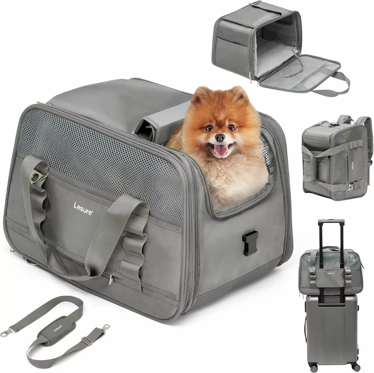 TSA Approved 2-in-1 Backpack Carrier 