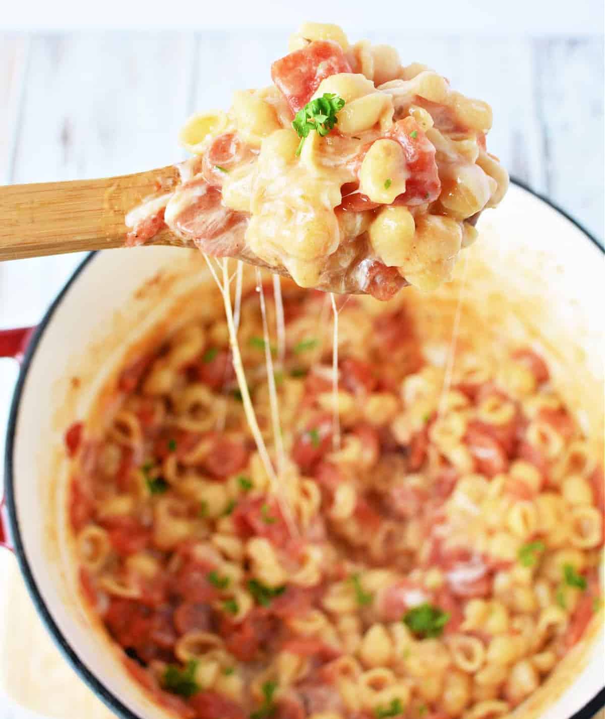 One Pot Pasta recipe