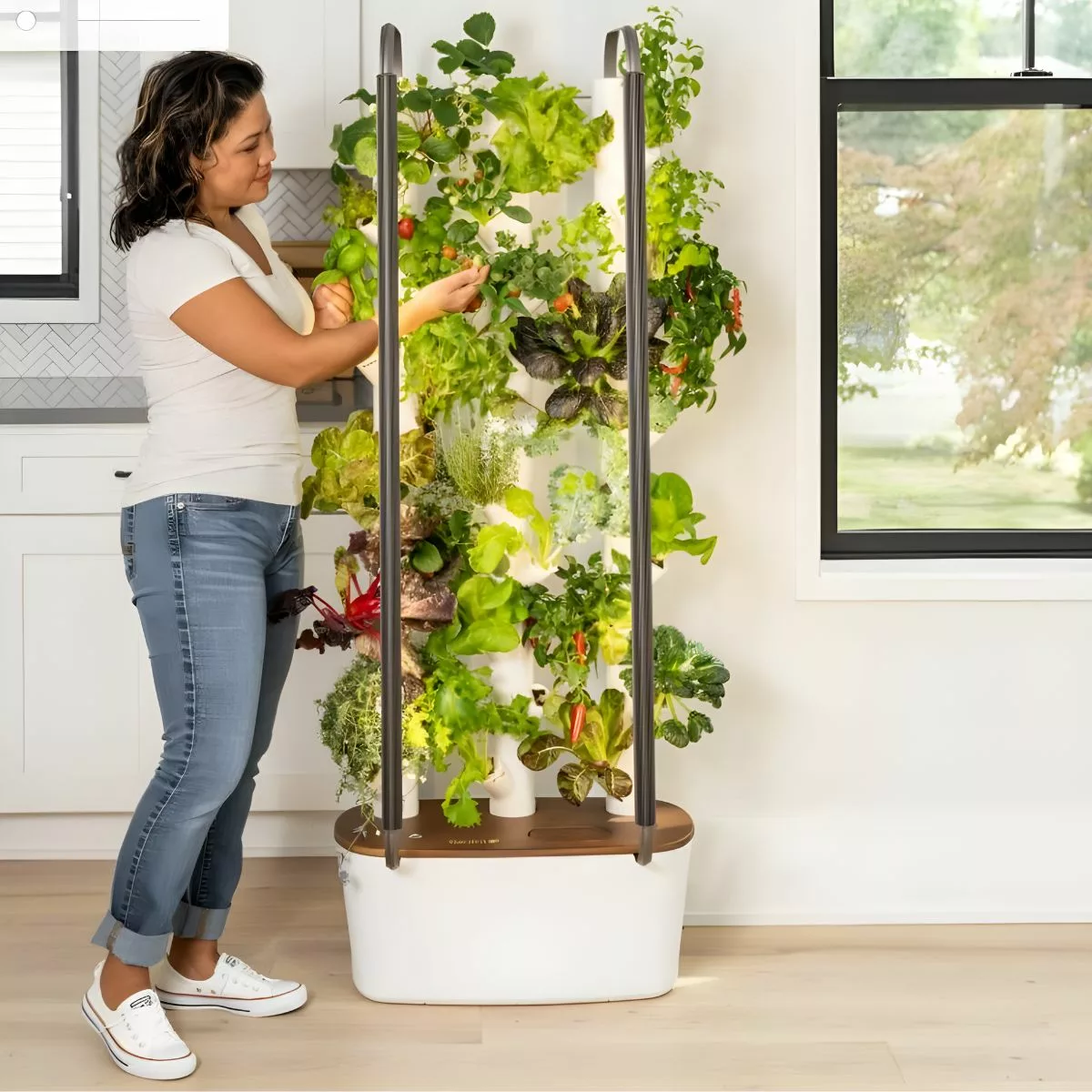 Hydroponic Growing System