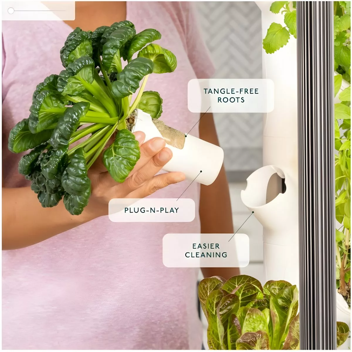 The Best Hydroponic Growing System