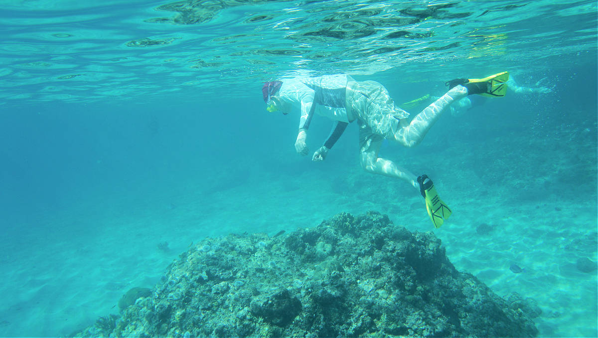 Essential Tools for Snorkeling