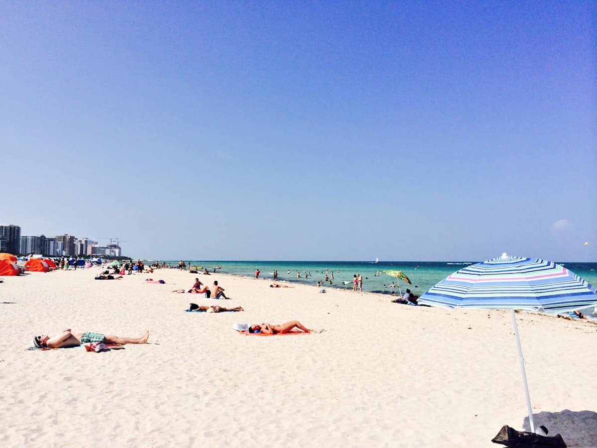 Top 5 places to visit in Miami in spring