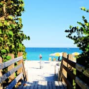 Miami Family Activities Things to do in Miami with Kids