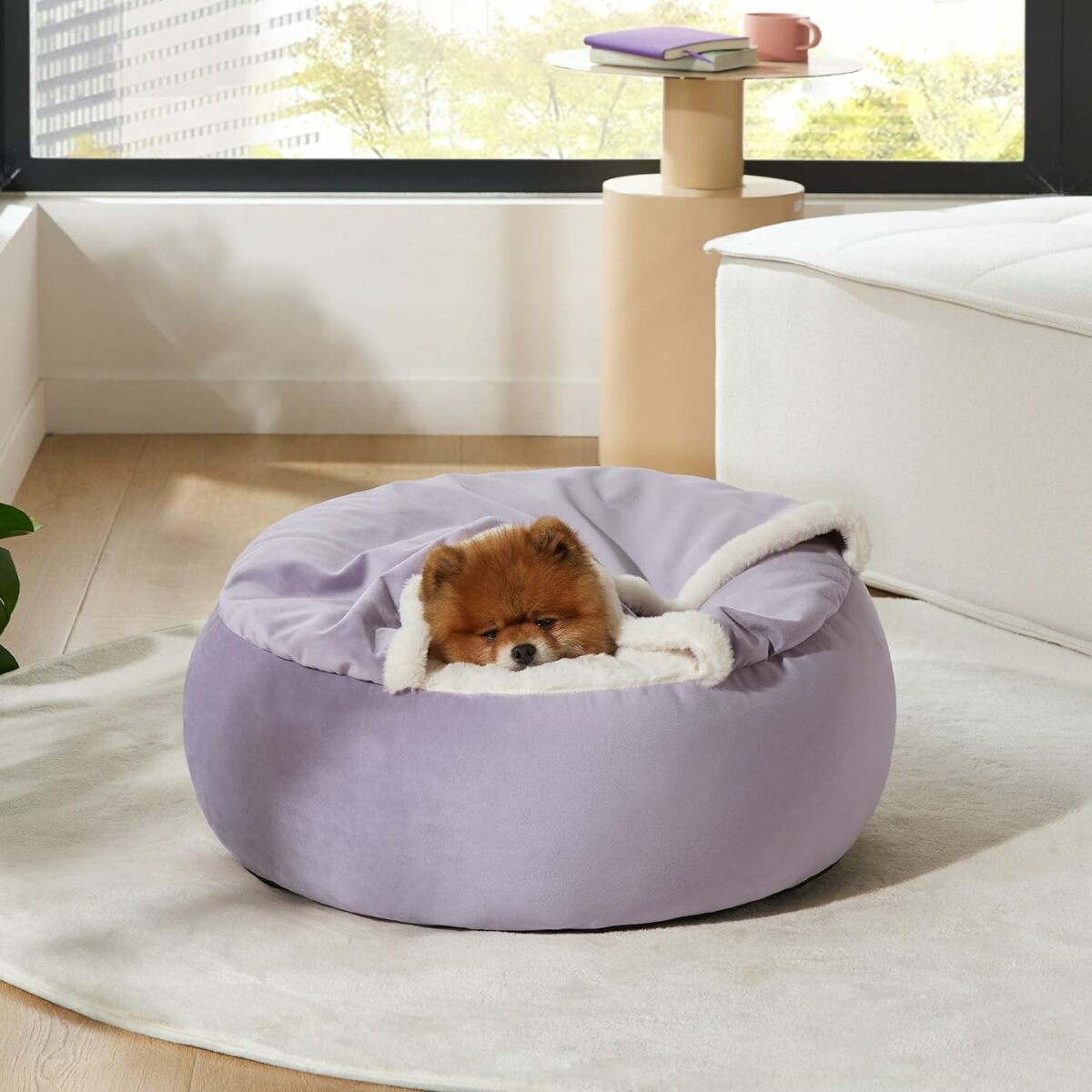 Small Dog Bed with Cover Cave