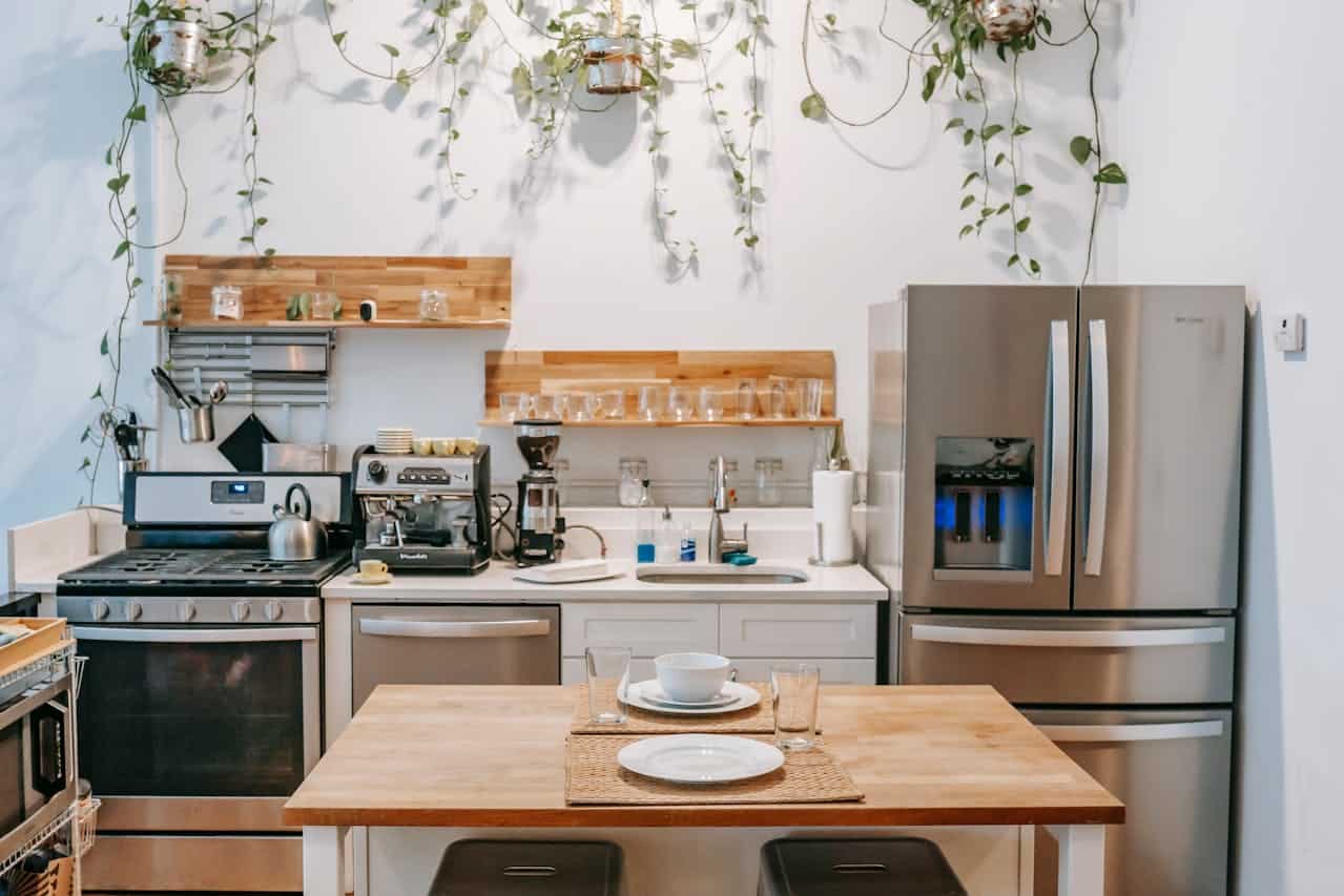 kitchen with plants