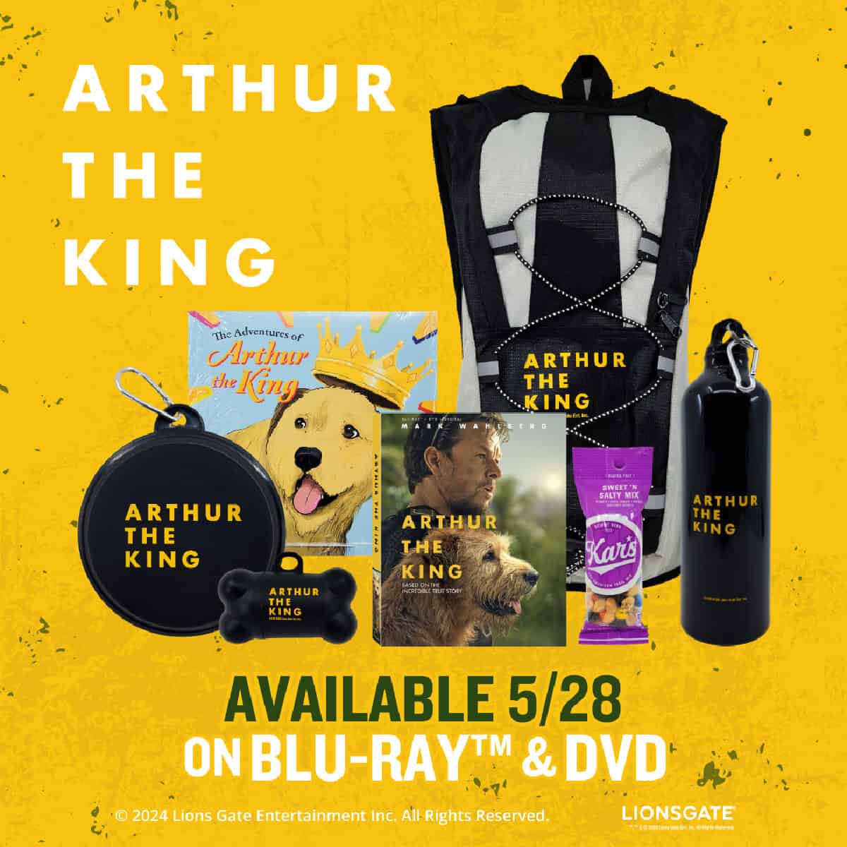 Arthur the King Prize Pack Giveaway