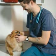 8 Benefits of Pet Insurance
