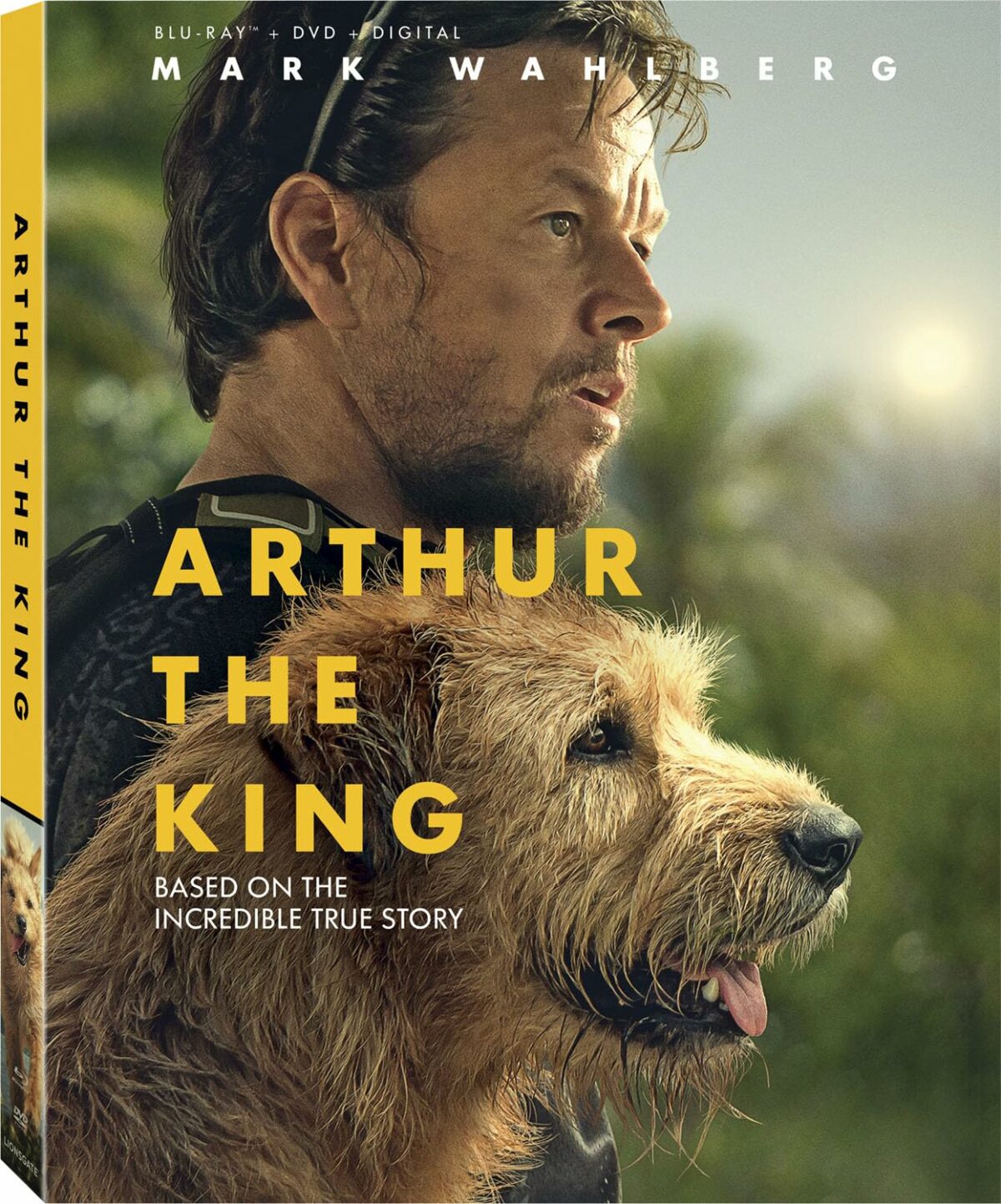 Arthur the king Blu-ray DVD