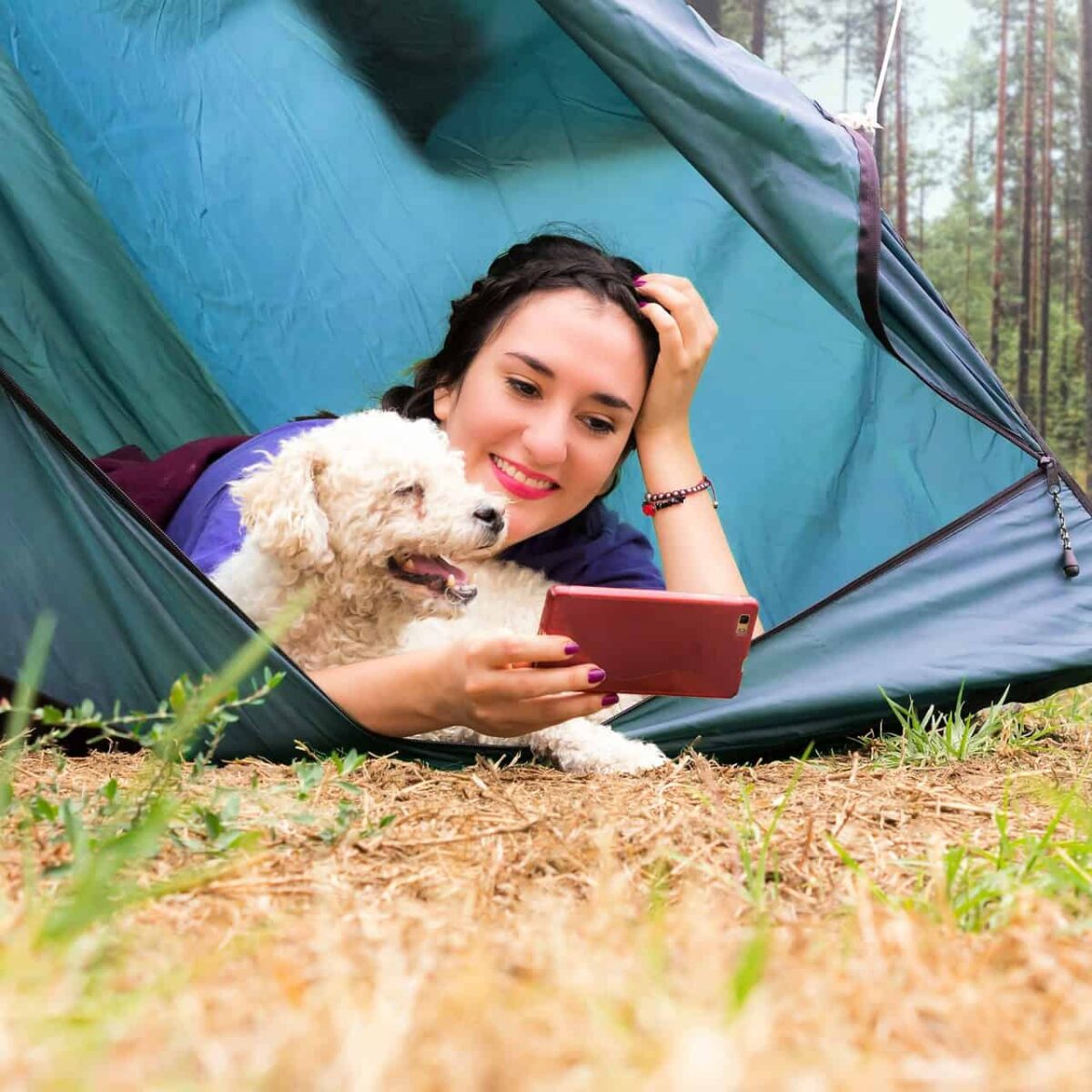 woman in a tent with her dog looking at her phone