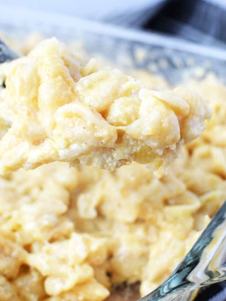 3 Cheese Macaroni and Cheese