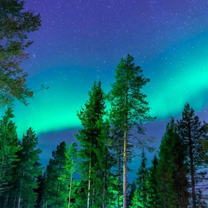 alaska northern lights