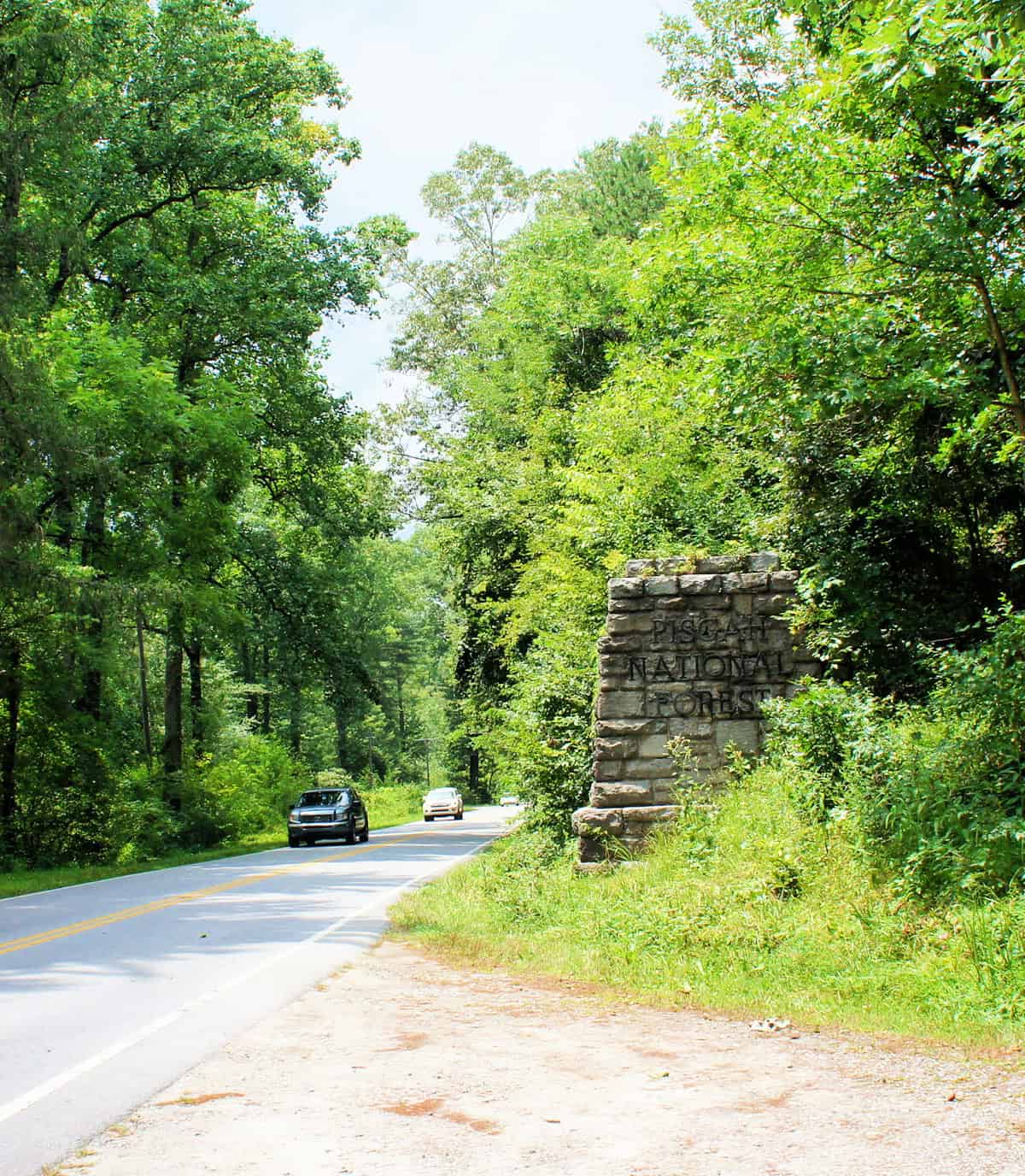 Pisgah National Forest North Carolina