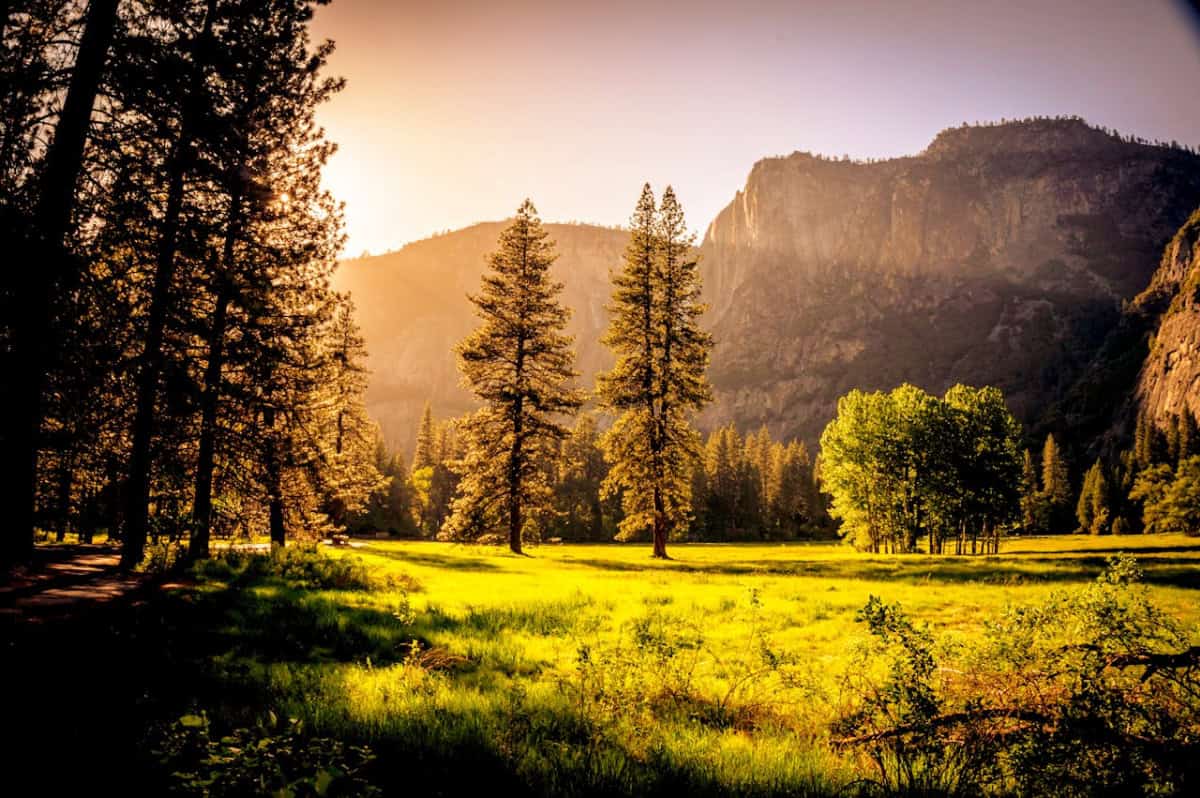 yosemite national park