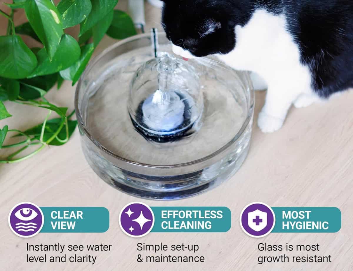 Brook Glass Pet Fountain