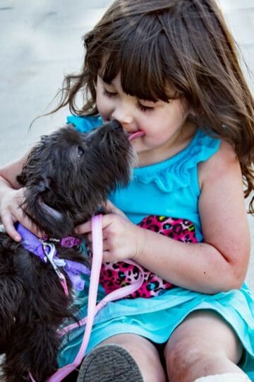 black puppy licking a little girl's face
