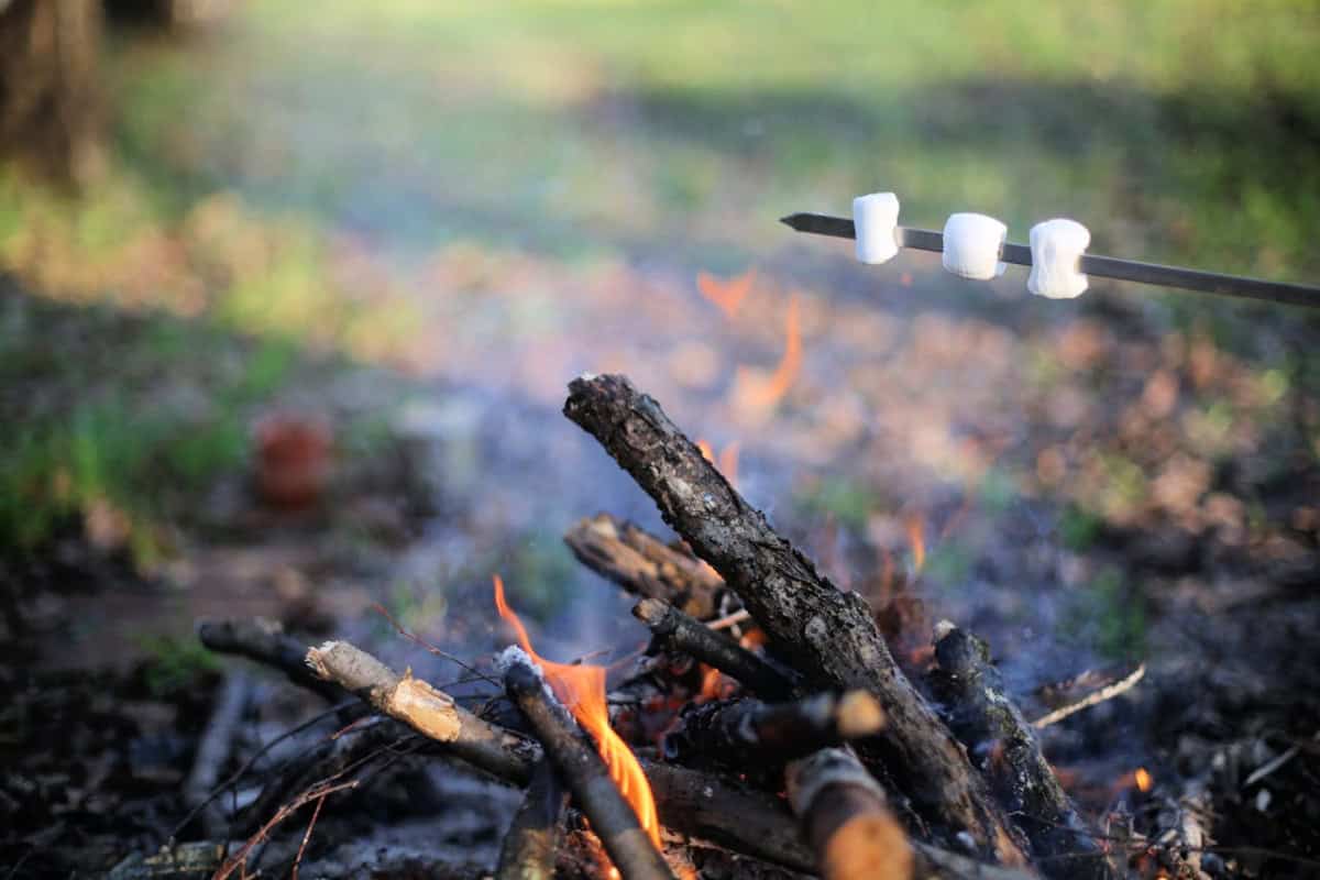 campfire smores