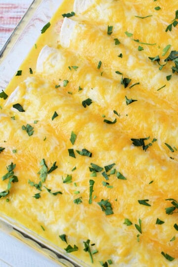Sour Cream Enchiladas