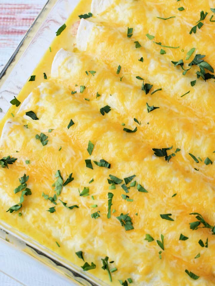 Sour Cream Enchiladas