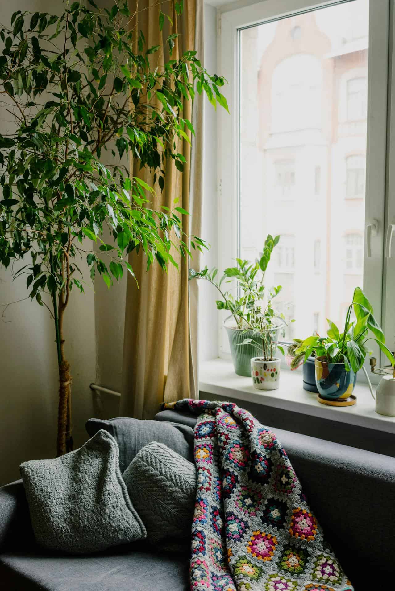 cozy living room