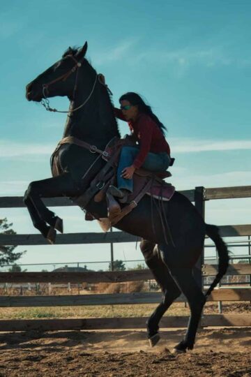 horse