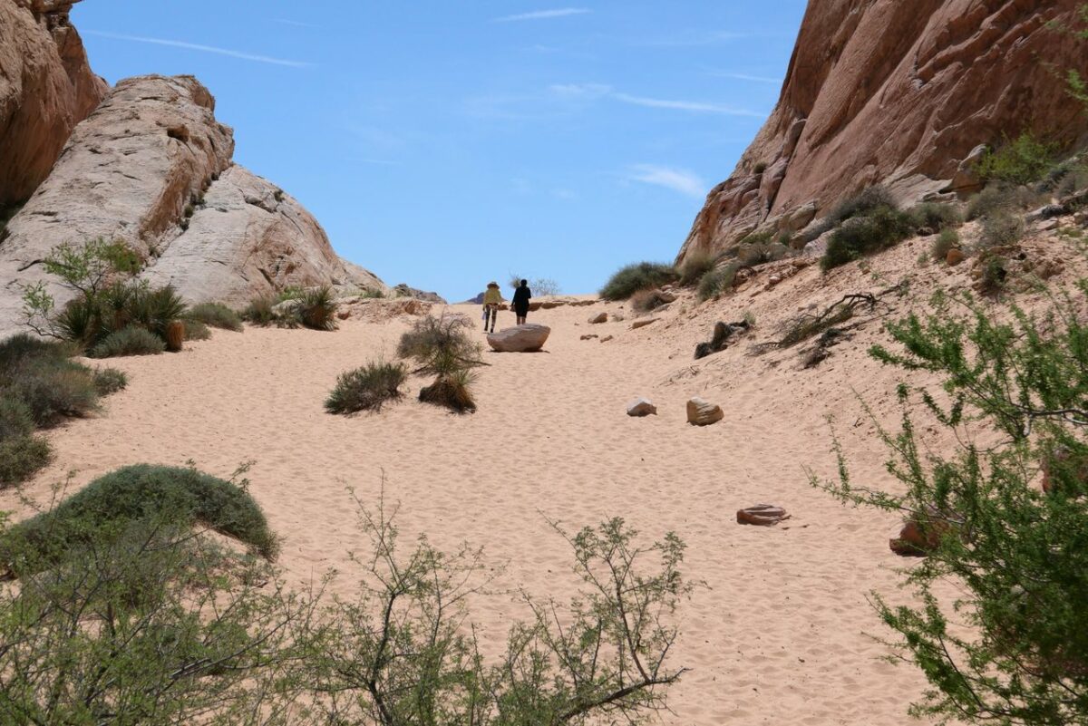 The Fire Wave Trail in Valley of Fire, Nevada