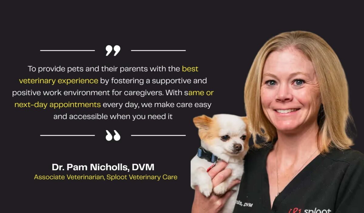 Veterinary Services for Families with Pets
