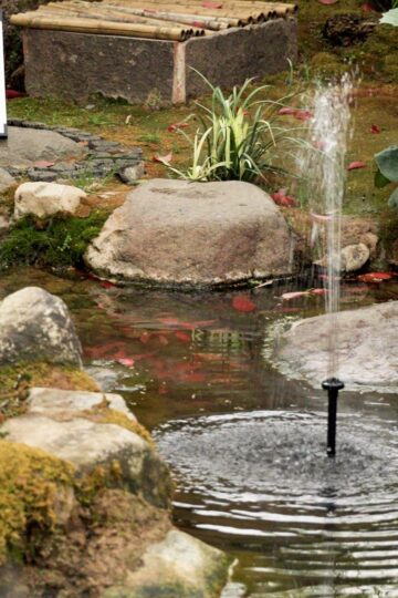 water fountain